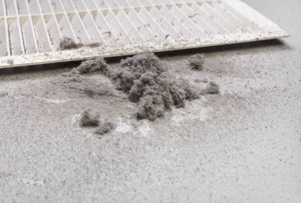 Best Best Air Duct Cleaning Company  in Tanaina, AK