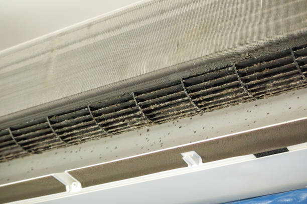 Best HVAC Air Duct Cleaning  in Tanaina, AK